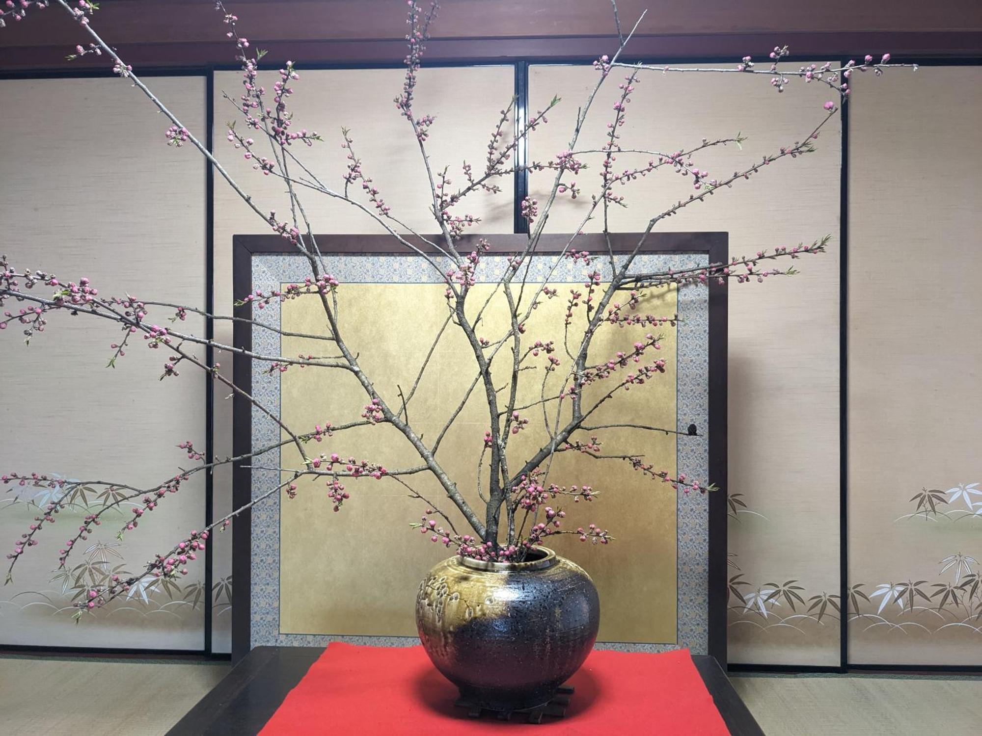 Farm Stay Inn Sanzaemon-Tei 母屋guesthouse Shiga-Takasima Traditional Japanese Architecture House Exteriör bild