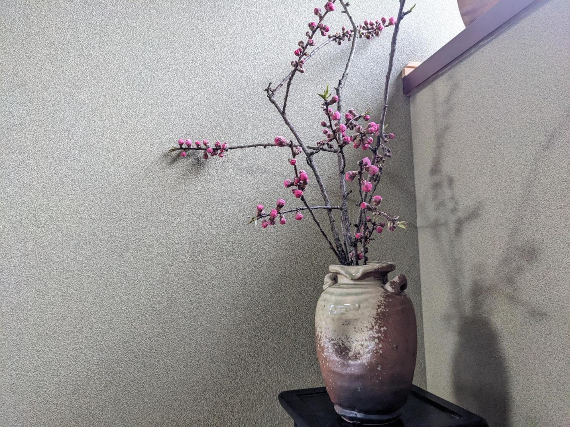 Farm Stay Inn Sanzaemon-Tei 母屋guesthouse Shiga-Takasima Traditional Japanese Architecture House Exteriör bild